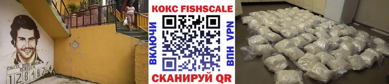 наркота  Приозерск  Кокаин Fish Scale 