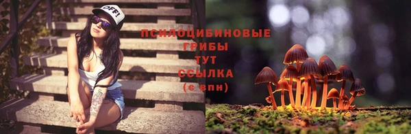 спайс Алексин