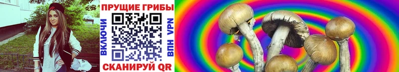 Псилоцибиновые грибы Magic Shrooms Приозерск